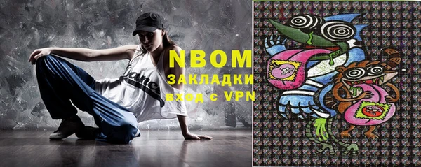индика Арсеньев