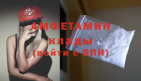 индика Арсеньев