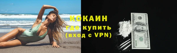индика Арсеньев