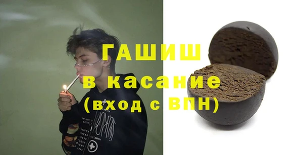 индика Арсеньев