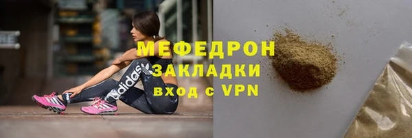 индика Арсеньев
