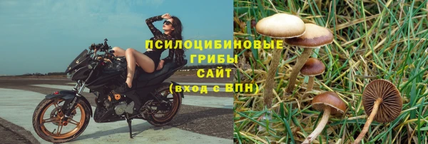 индика Арсеньев