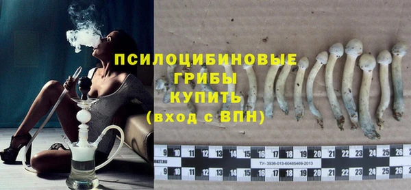 индика Арсеньев