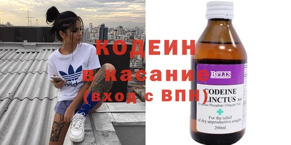 индика Арсеньев