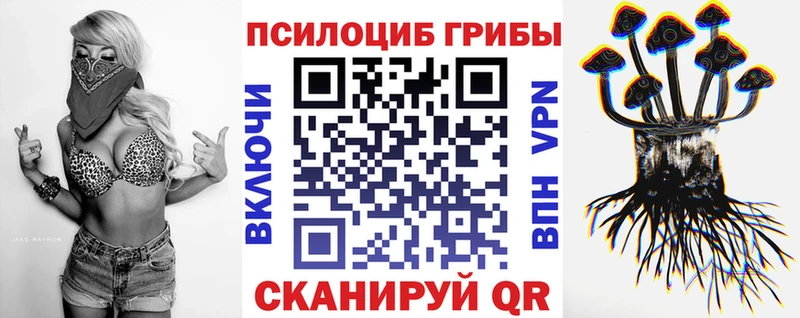 как найти закладки  Полярный  Галлюциногенные грибы GOLDEN TEACHER 